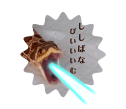 432024371
