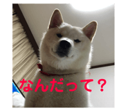 432040934