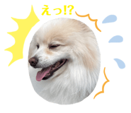 432043427