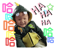 432048704