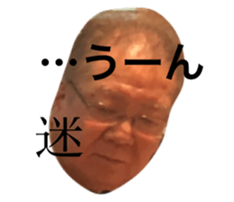43205336