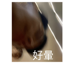 432073240