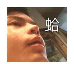 432073248