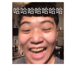 432073255