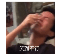 432073263