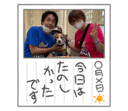 432186628
