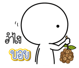 43218781