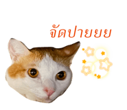 432197439