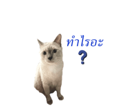 432197440