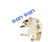 432197443