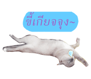 432197444