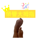 432261537