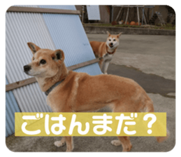 432311332
