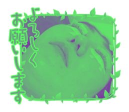432327378
