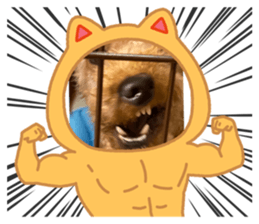 432331235