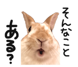 432335691