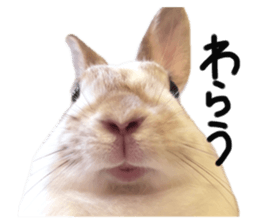 432335693
