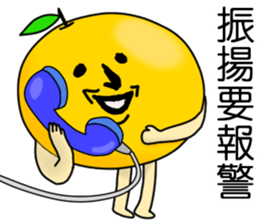 432343651