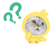 432350509