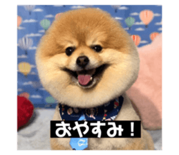 432387730