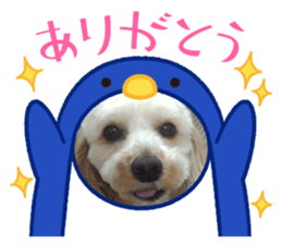 432399989