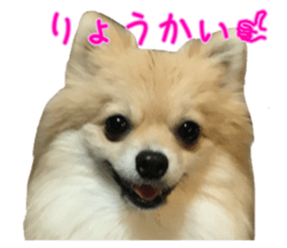 43244150