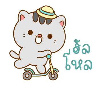 คอตต้อน เป็นแมวน่ารัก รูปที่ 1