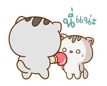 คอตต้อน เป็นแมวน่ารัก รูปที่ 10
