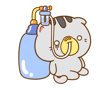 คอตต้อน เป็นแมวน่ารัก รูปที่ 12