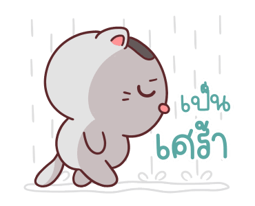 คอตต้อน เป็นแมวน่ารัก รูปที่ 13