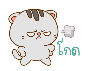 คอตต้อน เป็นแมวน่ารัก รูปที่ 15