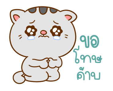 คอตต้อน เป็นแมวน่ารัก รูปที่ 16
