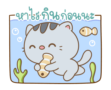 คอตต้อน เป็นแมวน่ารัก รูปที่ 17