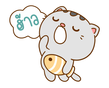 คอตต้อน เป็นแมวน่ารัก รูปที่ 24