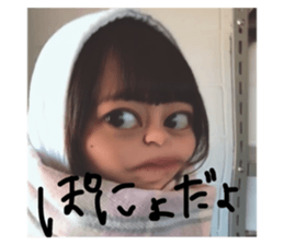 43248378