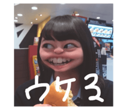43248380