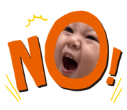 432527977