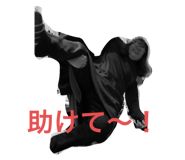 432557731