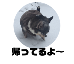 432563674