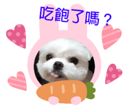 432643888