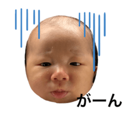 432644144