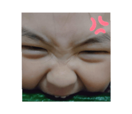 432644449