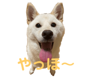 432645678