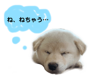 432645679