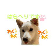 432645680