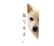432645684