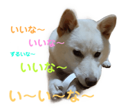 432645688