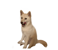 432645691