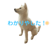 432645696