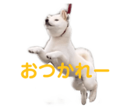 432645701